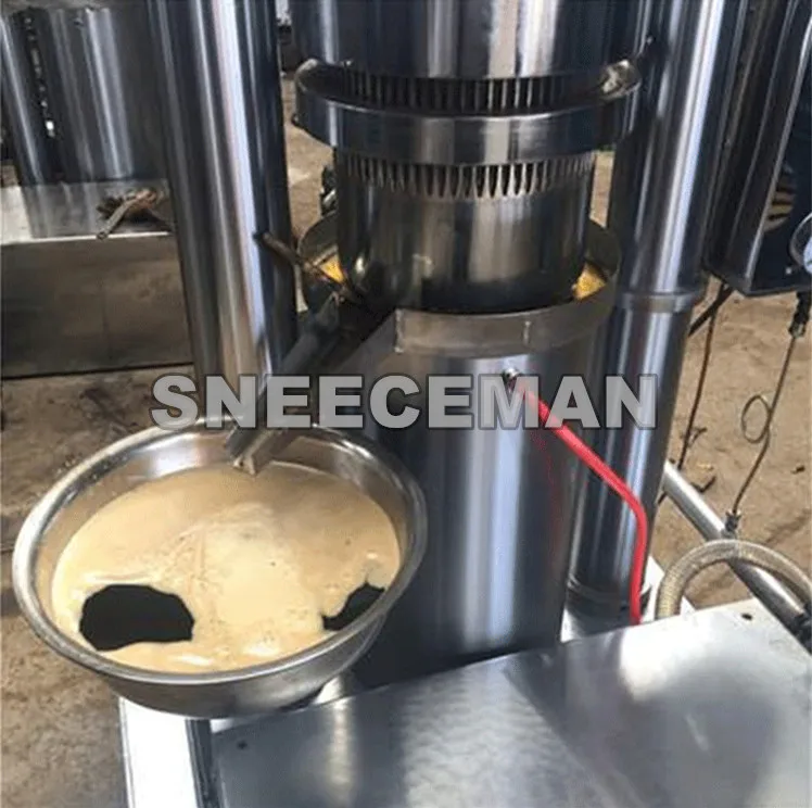 oil presser Fully automatic hydraulic pressure oil press Hydraulic walnut pine seed electric oil press