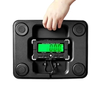 Digital Postal Scale 120kg 10g Stainless Steel LCD Display Weighing Balance For Express Warehouse Shipping 200kg USB Scales Tool