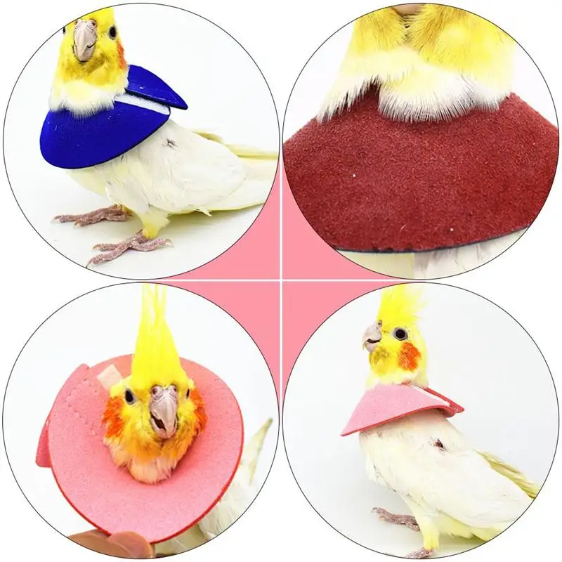 4Pcs Adjustable Pet Protective Collar For Parrot Recovery Neck Cover Bird Grooming Accessories Bird Recovery Collar For Wound - Image 5