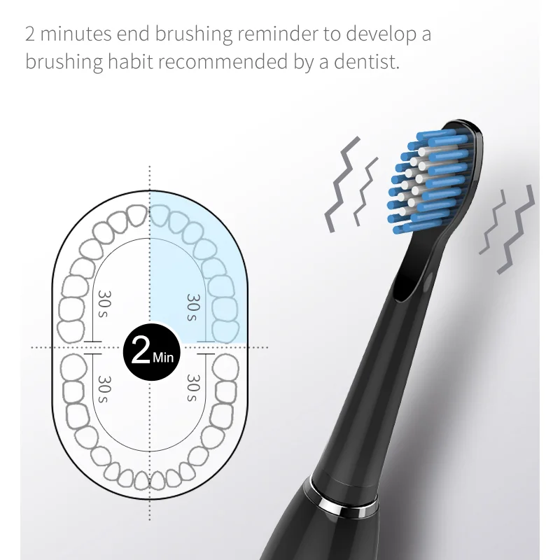 Seago Electric Sonic Toothbrush 360 Days Long Standby Time Waterproof USB Rechargeable with 5 Brush Heads SG575