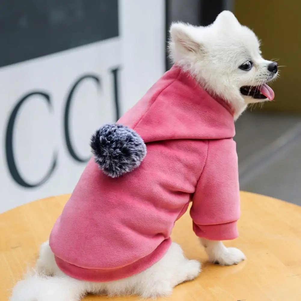 Pet Hoodie Pom Pom Thickened Dogs Hooded Sweatshirt for Pet Warm Designer Puppy Clothing