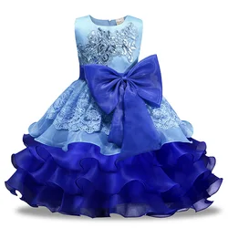 Hooyi Flower Girl Wedding Dress Girls Princess Dress Tulle Lace Sleeveless Pleated Robe Bow Belt Formal Pageant Bridesmaid Cloth