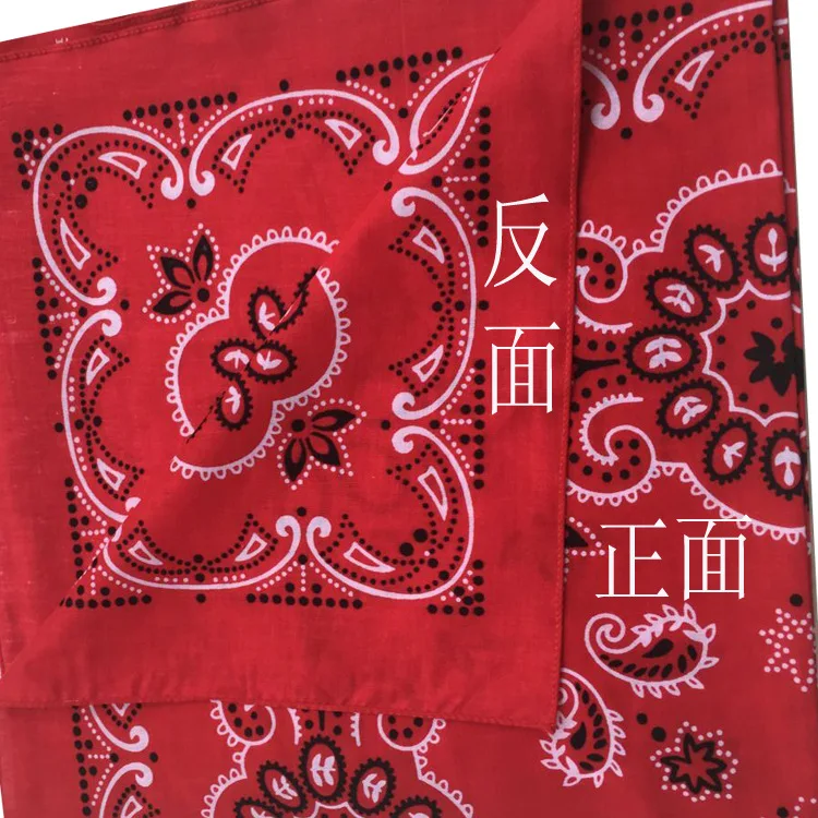 Foulard Bandana à imprimé Paisley pour hommes et femmes, 68cm, 100% coton, châle pour les cheveux, à la mode