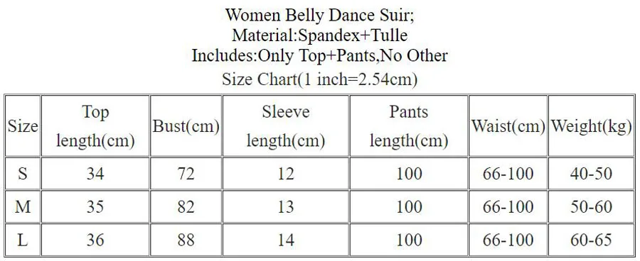 Belly Dance Suit Short Sleeve Top Embroidered Pants Indian Dancewear Female  Trousers Performance Oriental Clothing Set Cosplay