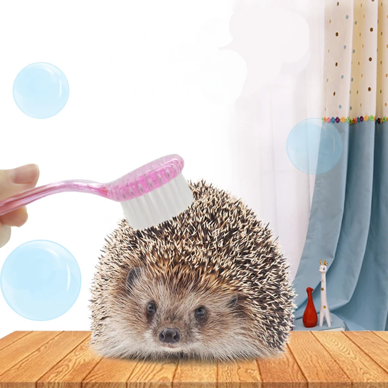 [MPK Store] African Hedgehog Cleaning Brush, Random Colors