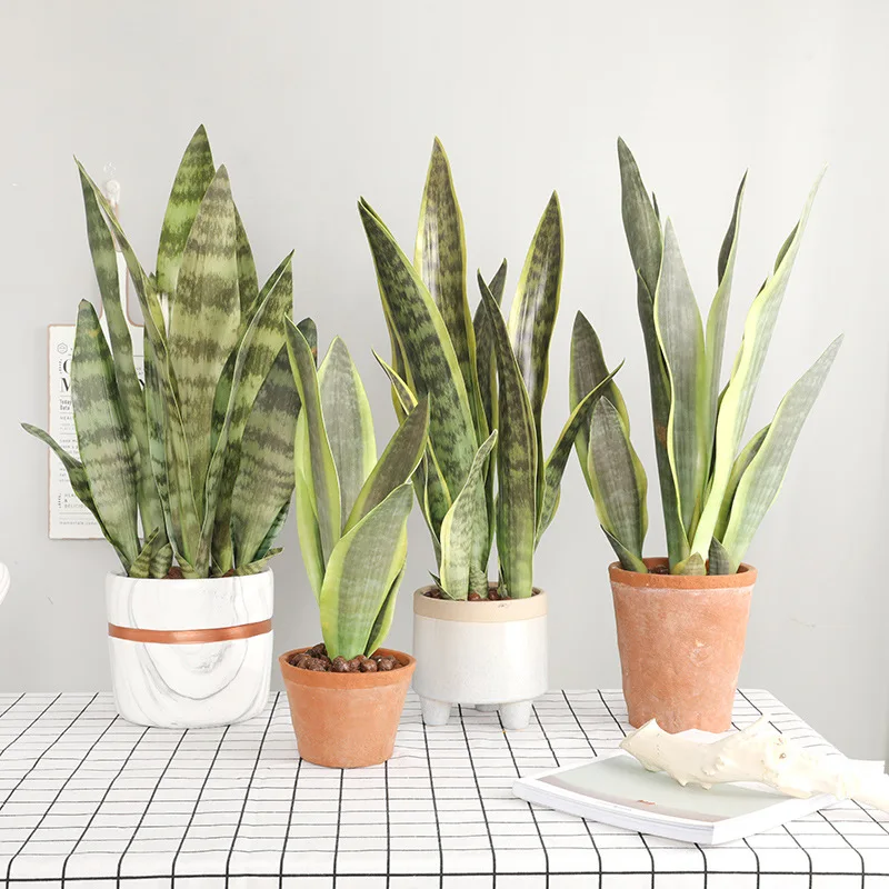 Plantas artificiales para decoración de jardín, ramas de Sansevieria de plástico, bonsái para exteriores, DIY