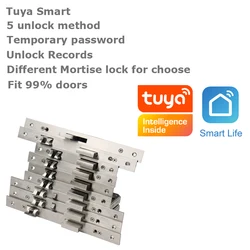 RAYKUBE Mortise Lock