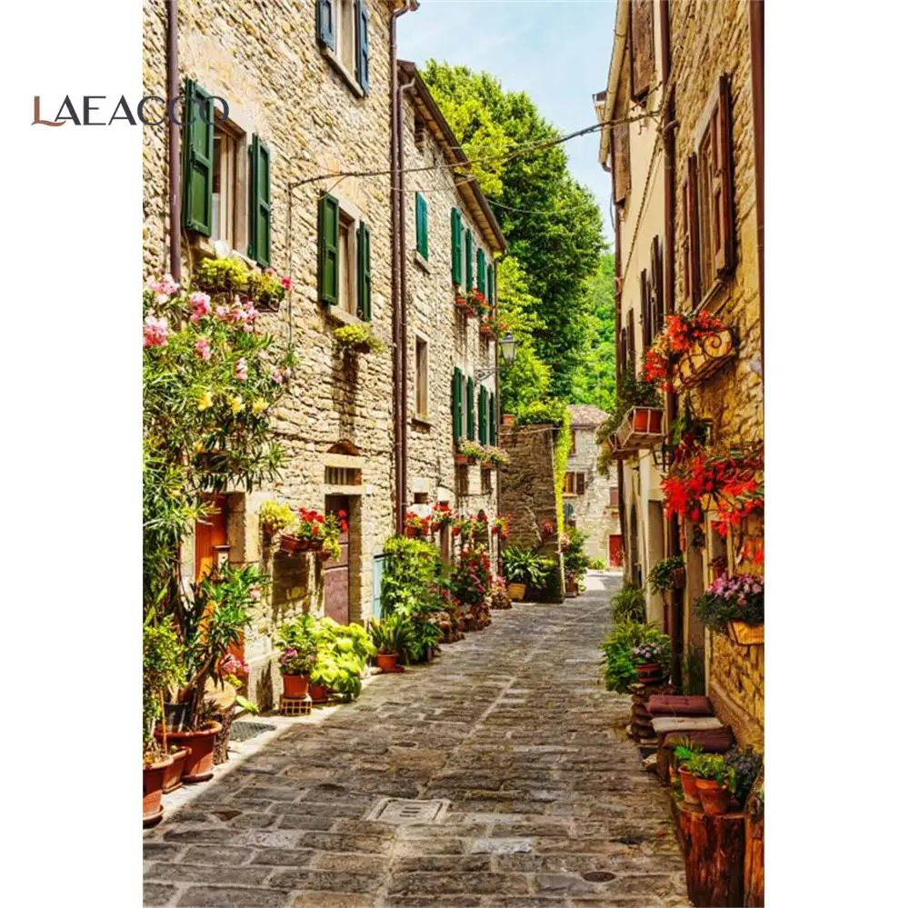 Laeacco Old Town Potted Flower Vine Alley Corridor House Scenic Photo Backgrounds Photography Backdrops For Photo Studio
