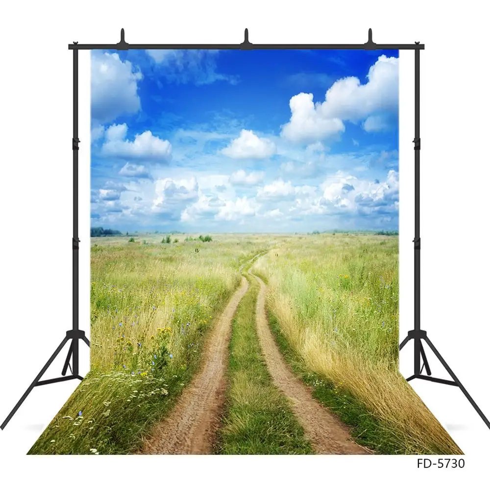 Footpath Prairie Grass Clouds Photographic Background Vinyl Cloth Backdrop Photo Studio for Children Baby Portrait Photoshoot