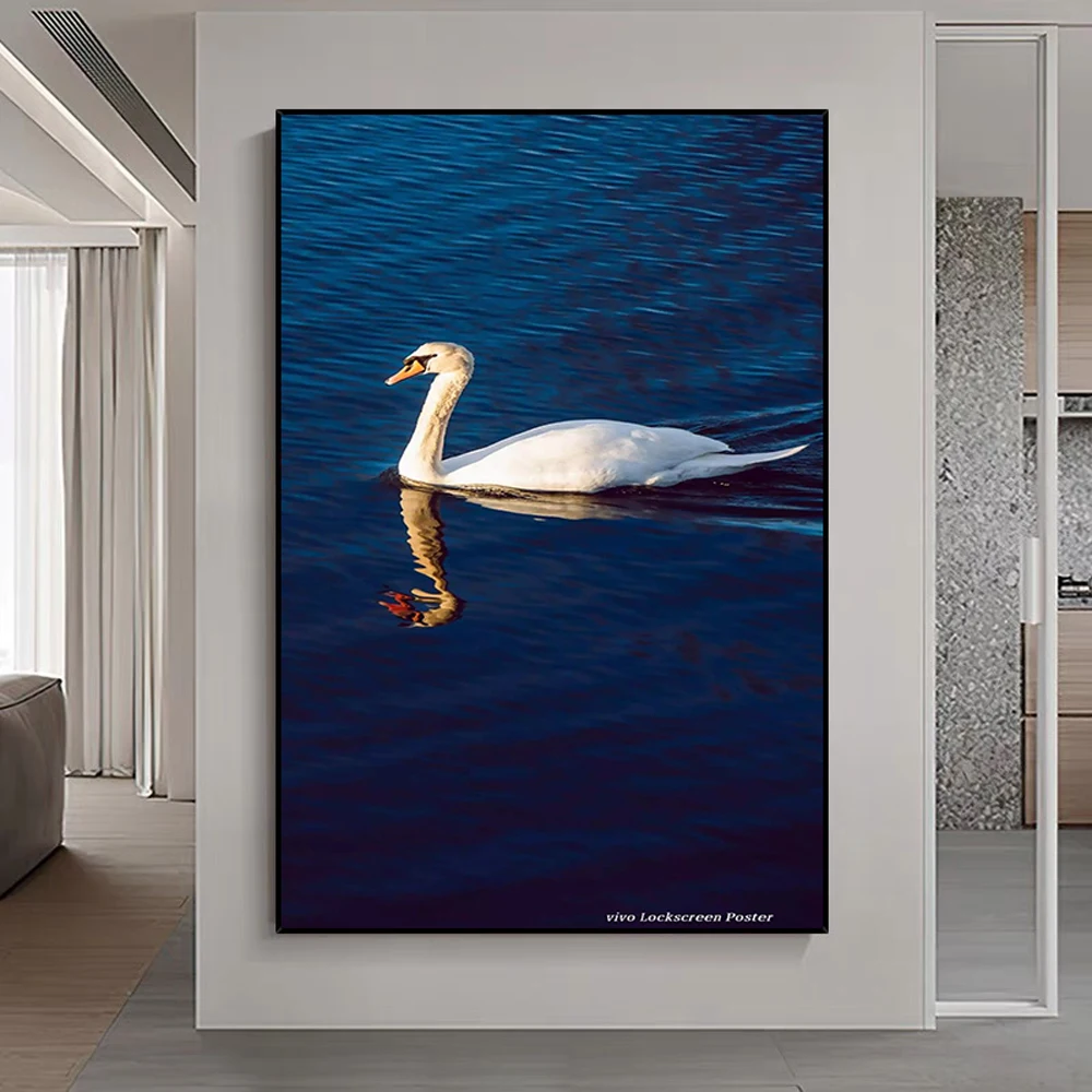 

038 Swan In The Lake Animal Insect Beast Silk Cloth Wall Poster Art Home Decoration Gift