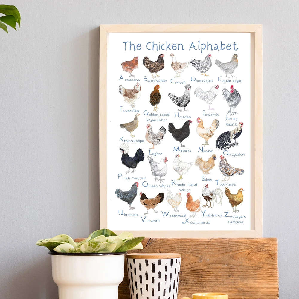 Alphabet Chicken Animal Print ABC Learn Letter Educational Poster Nursery Wall Art Canvas Painting Classroom Boy Bedroom Decor