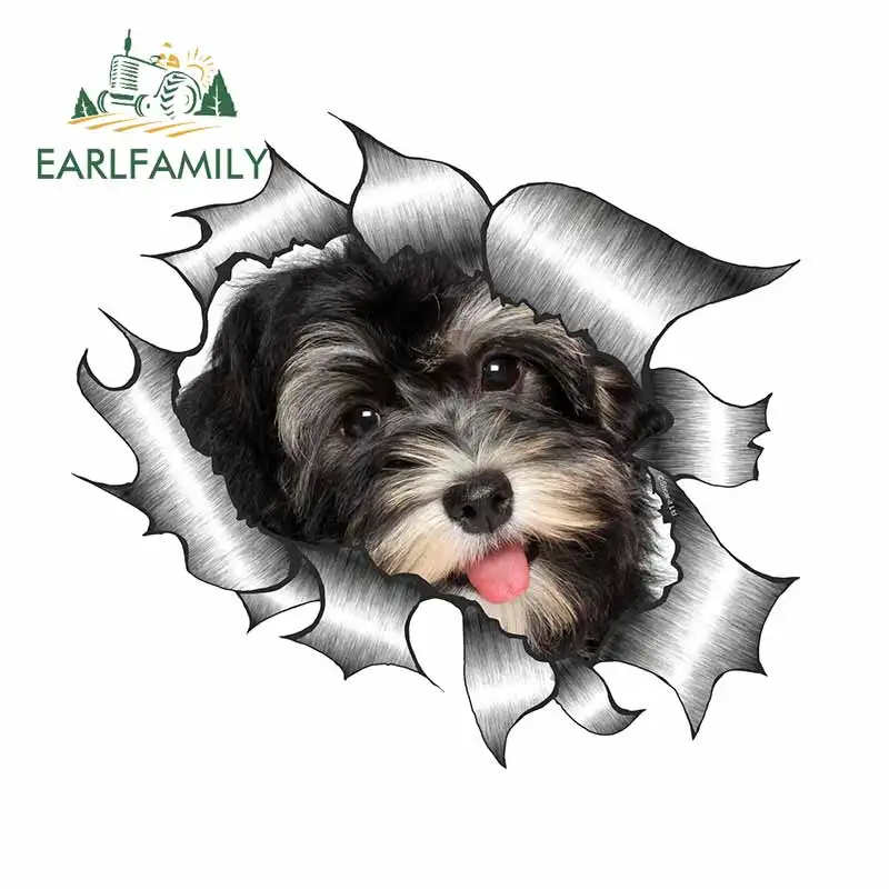 EARLFAMILY 13cm x 11.8cm Torn Metal Rip Design with Beautiful Havanese Pet Dog Puppy Motif External Vinyl Car Sticker