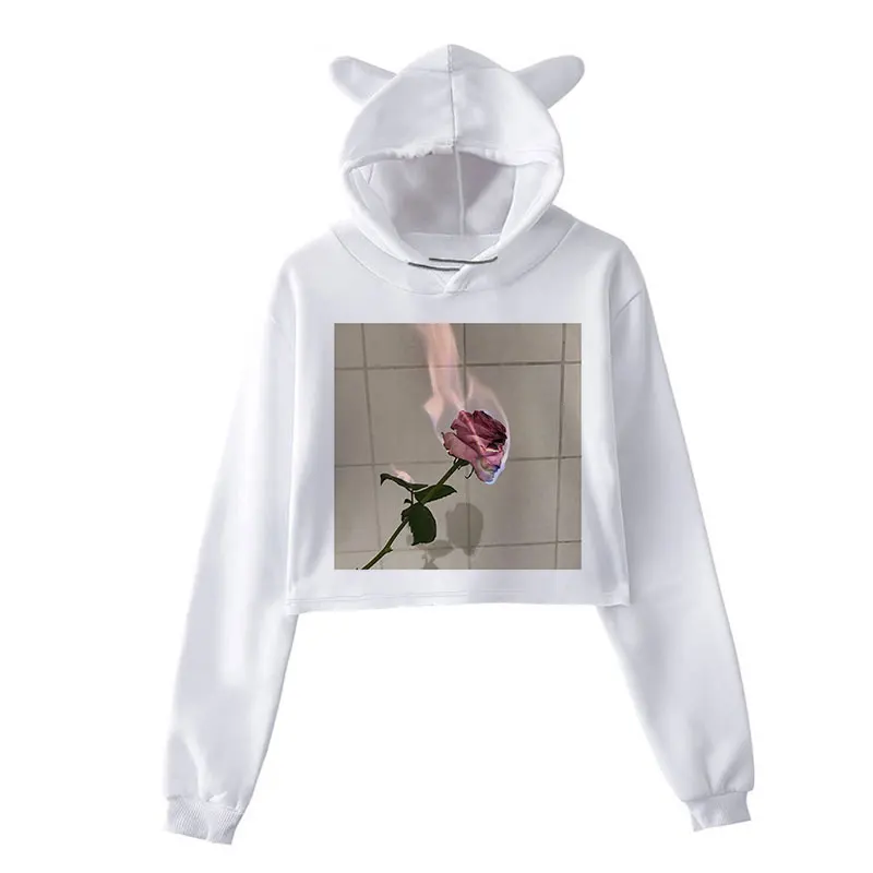 Rose Printed Hoodies Sweatshirts Women Crop Tops Long Sleeve Casual Autumn Winter Pullovers Street Loose Plus Size Sweatshirts