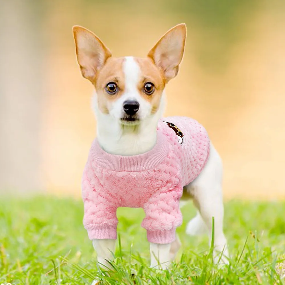 Vestiti per cani da compagnia autunno e inverno maglione caldo moda cane felpa con cappuccio morbido pile maglione gatto