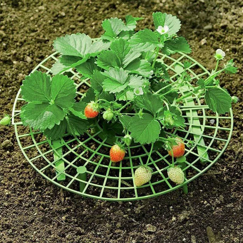 1 Pcs Round Plastic Strawberry Stand Balcony Grow Vegetables Fruit Climbing Pillar Gardening Bracket Plant Cages & Supports