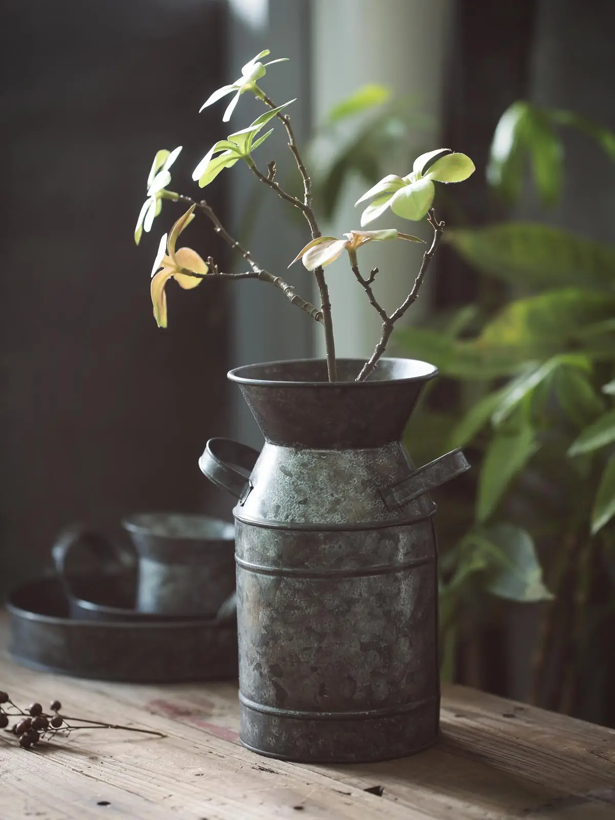 الرجعية Vintage حاوية صينية الحديد يمكن لوحة زهرية الزينة النمط الريفي لا تزال الحياة ، الغذاء التصوير الدعائم