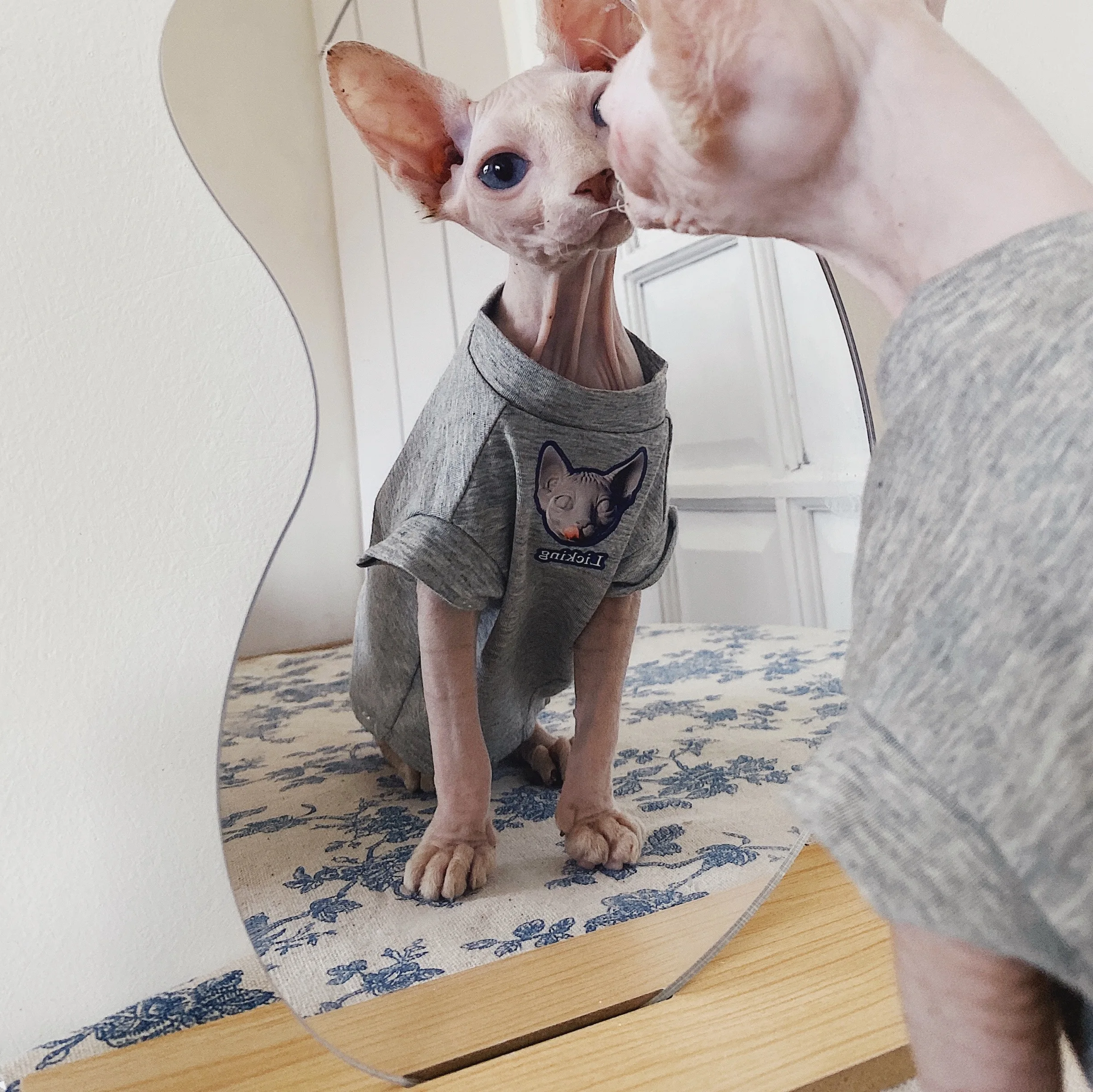 Hairless Pet Clothes for Small Dogs, Pet Sphinx T-Shirt, Artistic Couple, Parent-Child Clothing, Cotton Pet Clothes