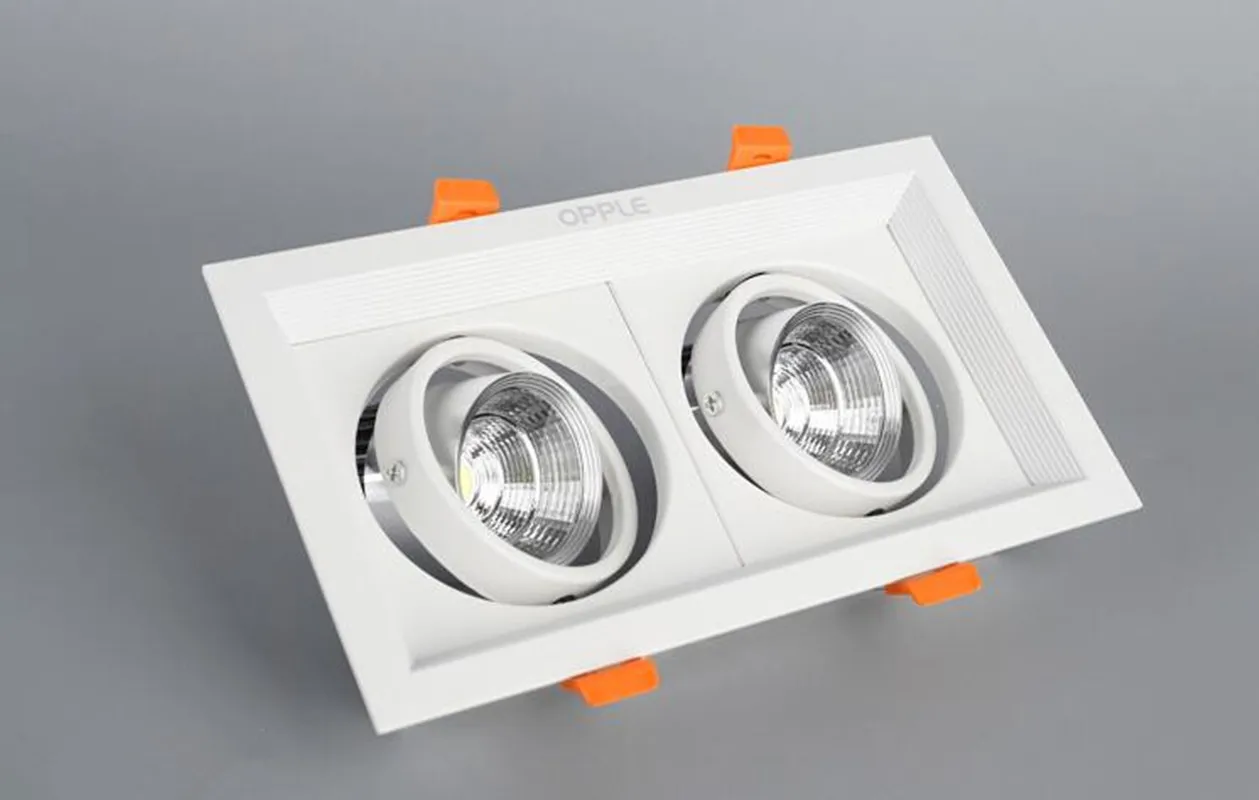 10W 20W 30W 110V 220V LED DIMMABLE Ceiling Downlight Recessed LED Wall lamp Spot light With LED Driver For Home Lighting