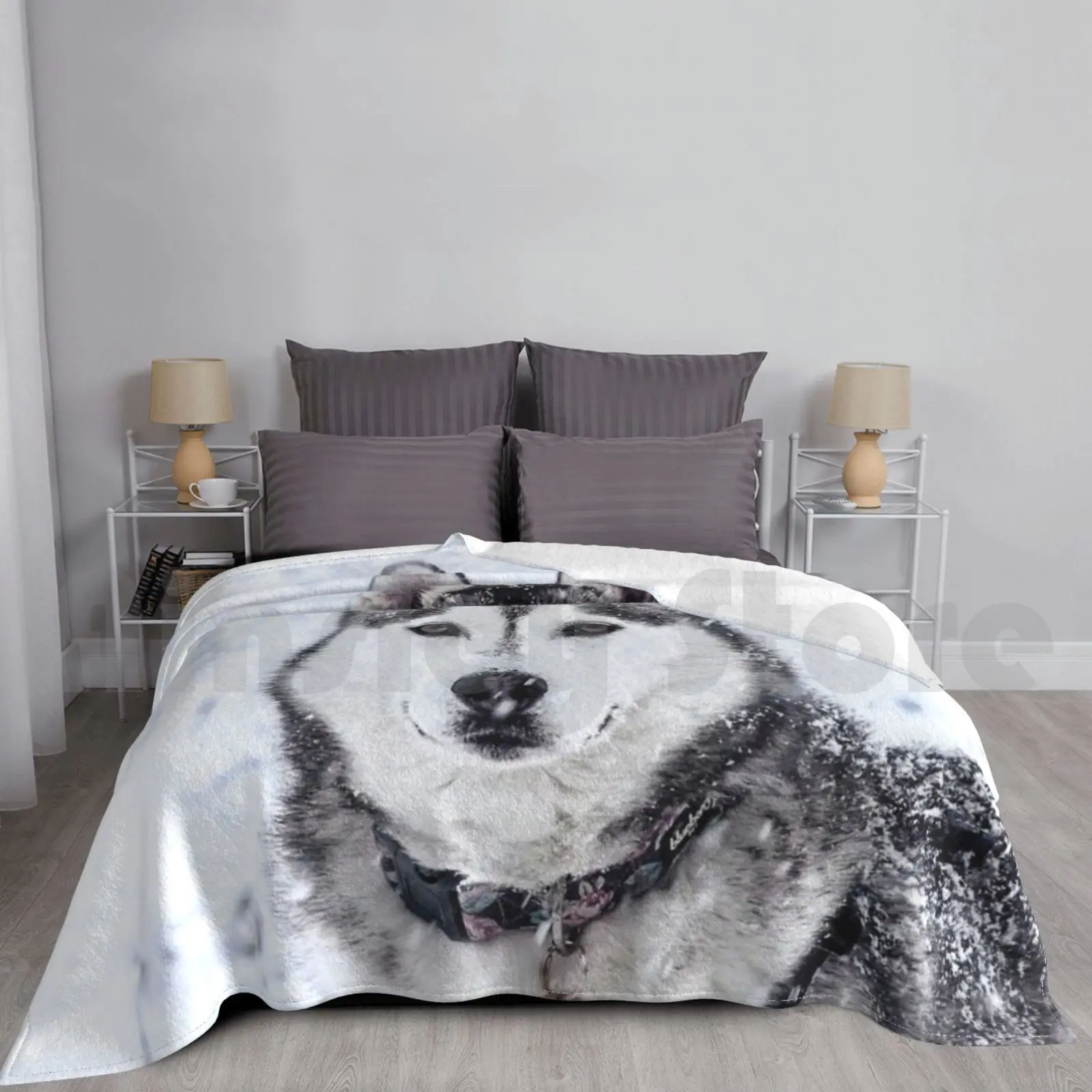 Blanket Husky 1113 Akita Dog Akita Dog Puppy Dogs Husky Malamute Siberian Cute Japanese Akita