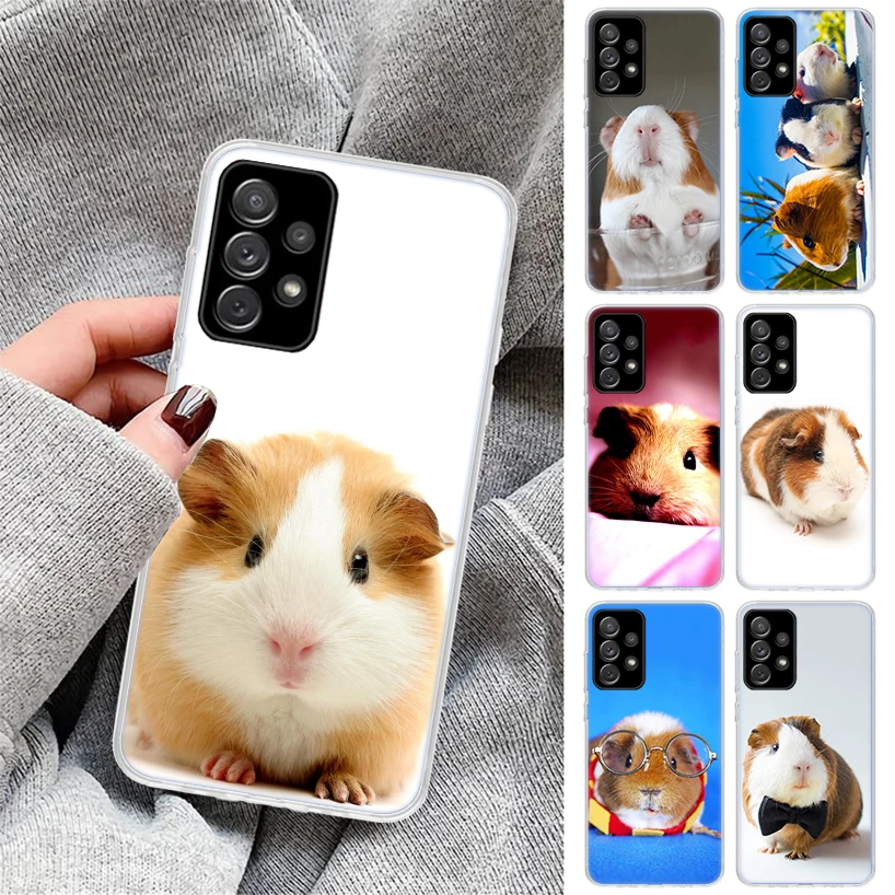 Guinea Pig Cute Animal Pet Blue Phone Case for Samsung Galaxy A54 A53 A52 A14 A13 A12 A24 A23 A22 A34 A33 A32 A04S A03S A02S A42