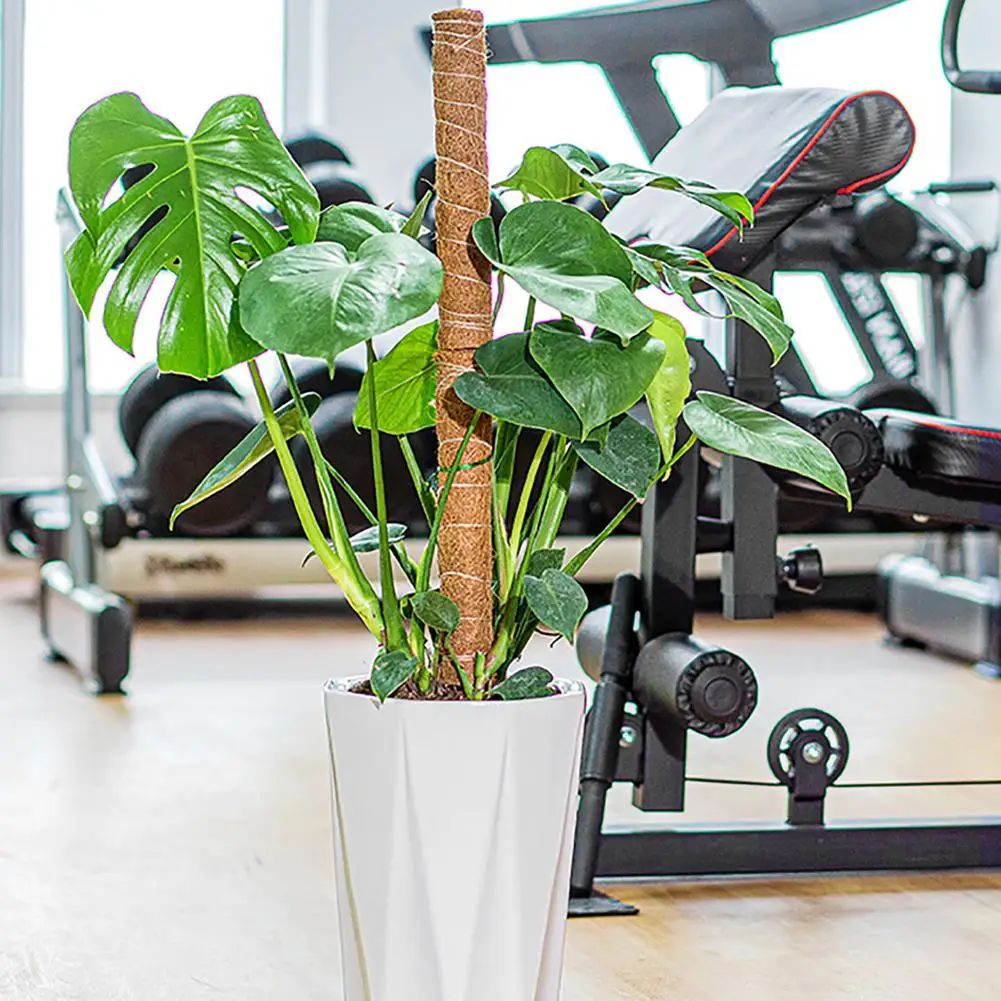 Garden Coir Totem Coconut Palm Sticks Vine Support Plant Moss Pole Moss Stick For Climbing Plants Support Extension