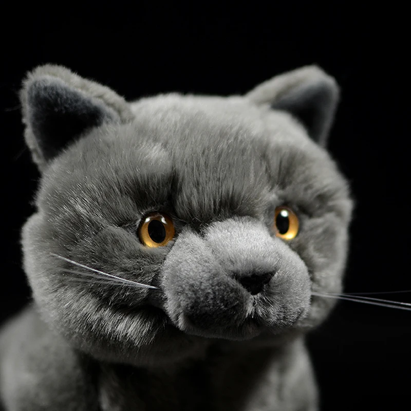 Simulation Cute British Shorthair Cat Tabby Felinae Stuffed Soft Plush Toy Grey Kitten Real Life Animal For Child New Year Gift