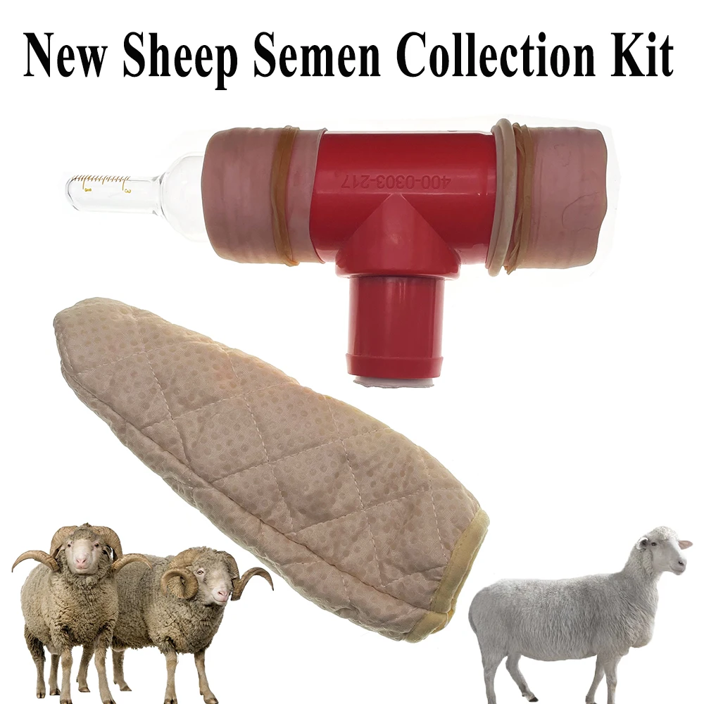 1SET New Design Sheep Semen Collection Kit Artificial Insemination Sperm Collect Device Glass Inner Tube Insulation Cover