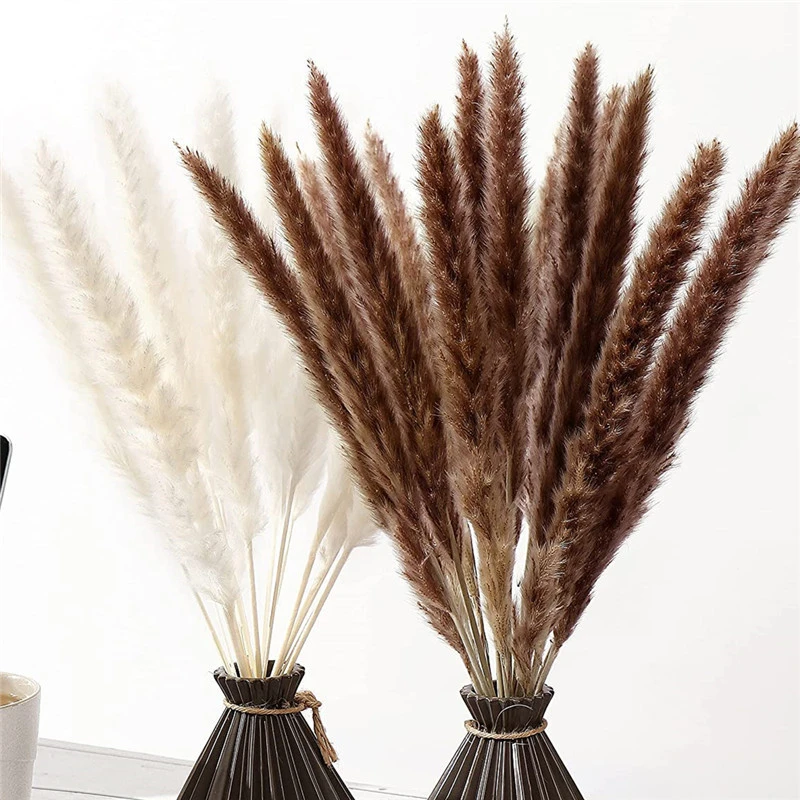 Natural Plants Phragmites Decoracion Color Pampas Grass Wedding Dried Flowers Bunch Communis Dekoration Artificial Decoración