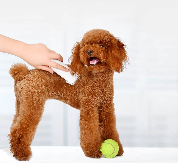 Pawbby-recortador de pelo recargable por USB para mascotas, Afeitadora eléctrica profesional para perros y gatos, para el cuidado de mascotas