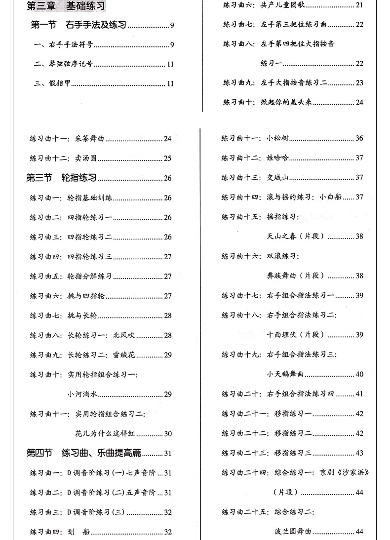 Apprendimento Pipa da Zero libro musicale cinese per adulti