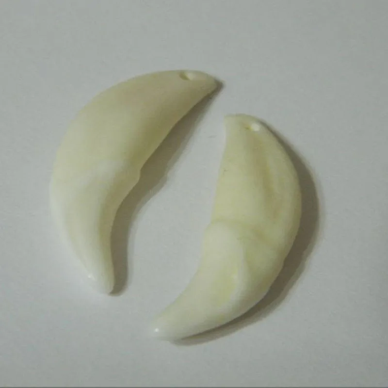 1 Bleached White Tooth Natural Authentic Teeth Ferocity Protection Strength Amulet