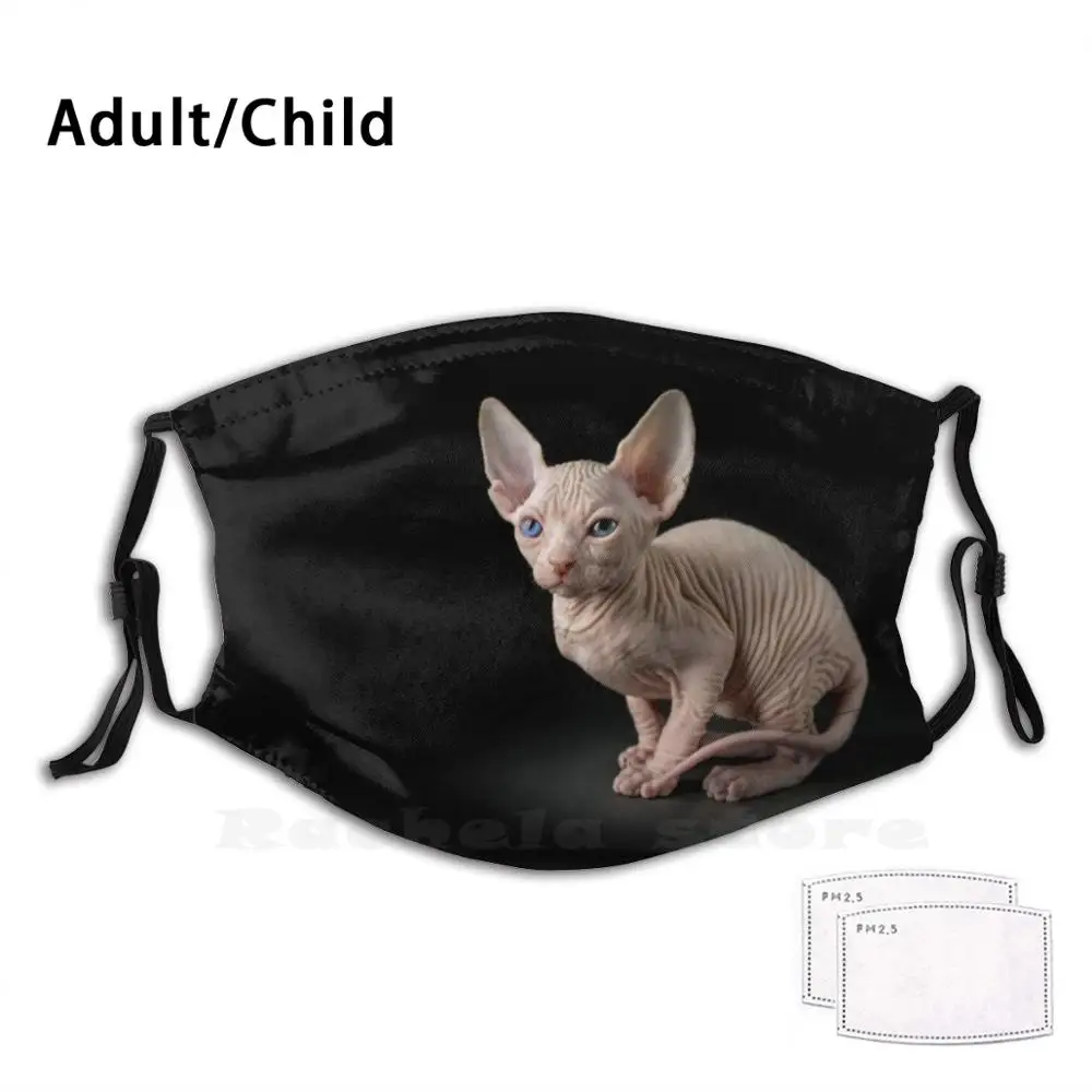 Sphynx Cat Adult Kids Anti Dust Pm2.5 Filter Diy Mask Sphynx Sphynx Cat Animal Sphynx Cat Kitten Cats Sphynx Cats Modern Cute