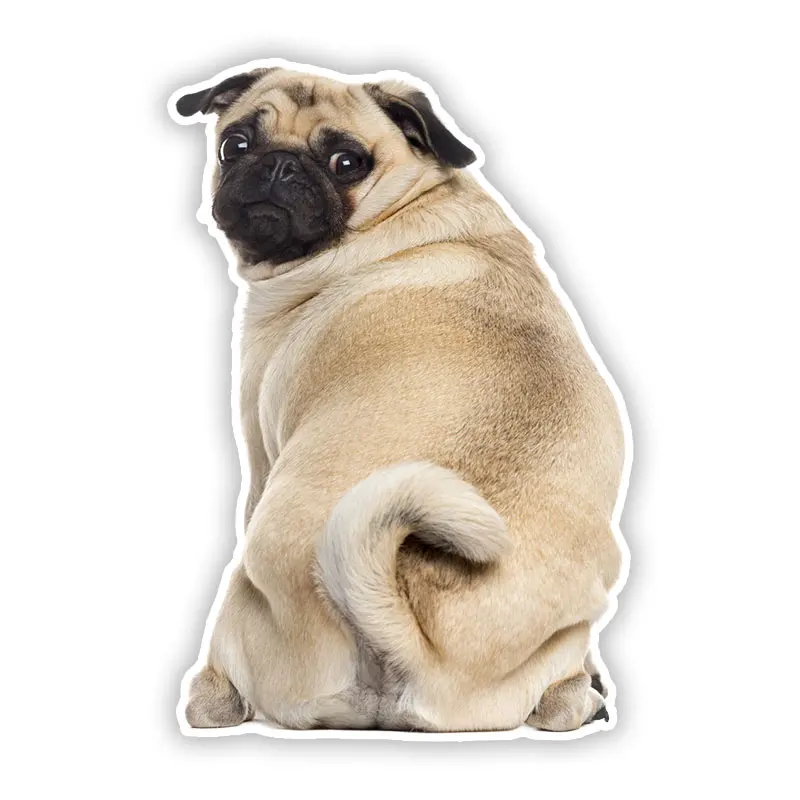 

B0692# Self-adhesive Decal Pug Dog V5 Car Sticker Waterproof Auto Decors on Bumper Rear Window Motorcycle Laptop Helmet