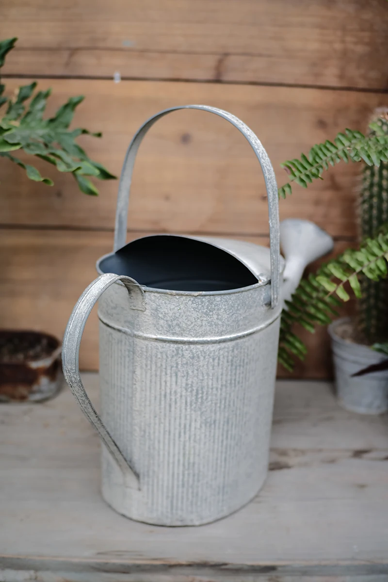 decoration of retro vintage zinc watering cans