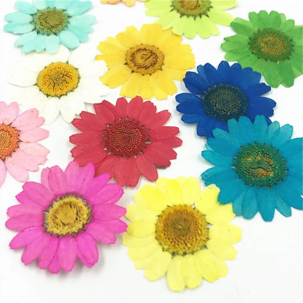 

12Pcs Dried Flower Mini size Pressed Natural Flower Epoxy Resin Nail Craft DIY Phone Decor Tools Home Decoration