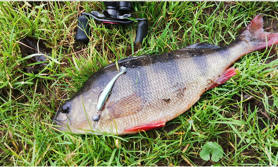 TSURINOYA 65mm 75mm T Schwanz Wrom Angelköder Weicher Köder Künstliche Köder Tackle Jerkbaits Hecht Bass – Detail 15