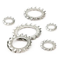 5/10/50pcs M2.5 M3 M4 M5 M6 M8 M10 M12 M14 M16 M20 M24 GB862.2 304 Stainless Steel External Toothed Serrated Lock Washer Gasket