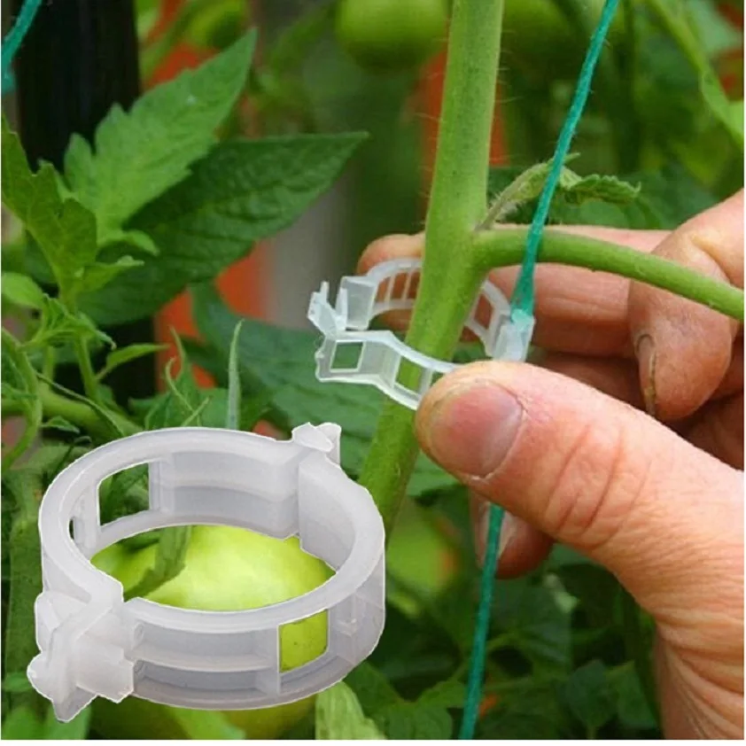 50PCS/SET  Reusable 25mm Plastic Plant Support Clips clamps For Plants Hanging Vine Garden Greenhouse Vegetables Tomatoes Clips