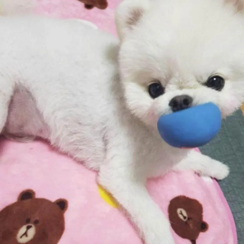 

Резиновая собака игрушки, игрушки для домашних животных играть скрипучий мячик для жевания игрушка с уход за кожей лица получать яркие мячики Товары для собак, щенков, является самой популярной игрушки игрушки для соба