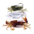 3pcs Multicolor Crab