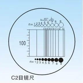 Diameter 19mm Microscope Slides Reticle Calibrating Slide Ruler  Microscope Calibration Ruler Stage Micrometer