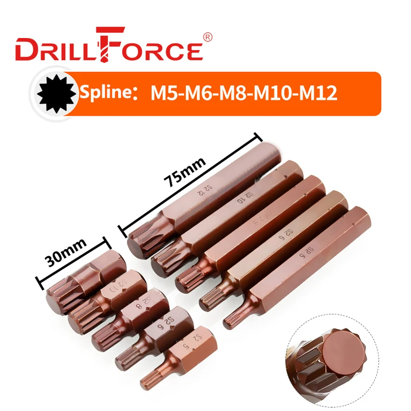 Drillforce 11PCS M5-M12 1/2