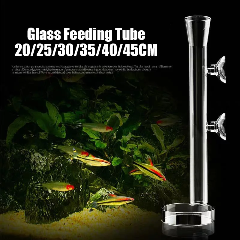 Transparent Glass Shrimp Feeding Tube Aquarium Shrimp Feeding Dish Feeder Food Tray Fish Tank Aquarium Accessories with Bowl