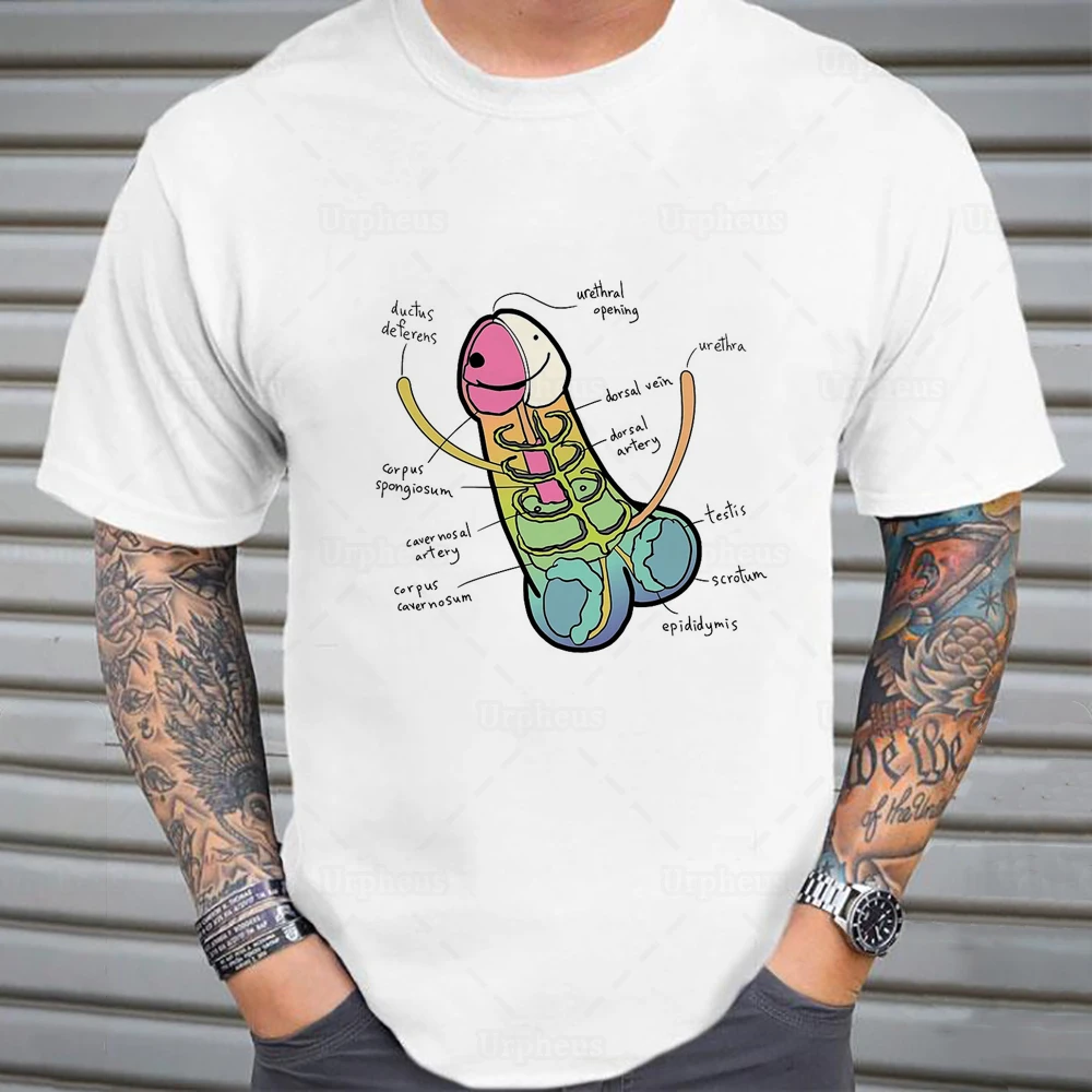 The Anatomy of A Penis Funny Tshirt Humors Joke Novel Educational Shirt  Hip Hop Geek Cotton Tees