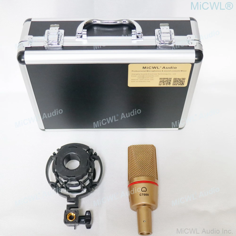 ميكروفون مكثف كبير للحجاب الحاجز C7000 48 فولت XLR للمرحلة استوديو تسجيل مباشر مع صدمة جبل الطيران