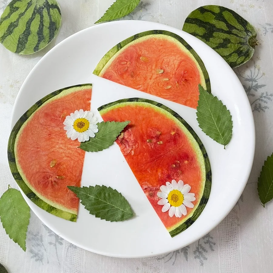 5pcs Dried Pressed Half-round Watermelon Fruit Slice Plant Herbarium For Exopy Jewelry Photo Frame Phone Case Bookmark Craft DIY