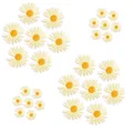 PE6307CT