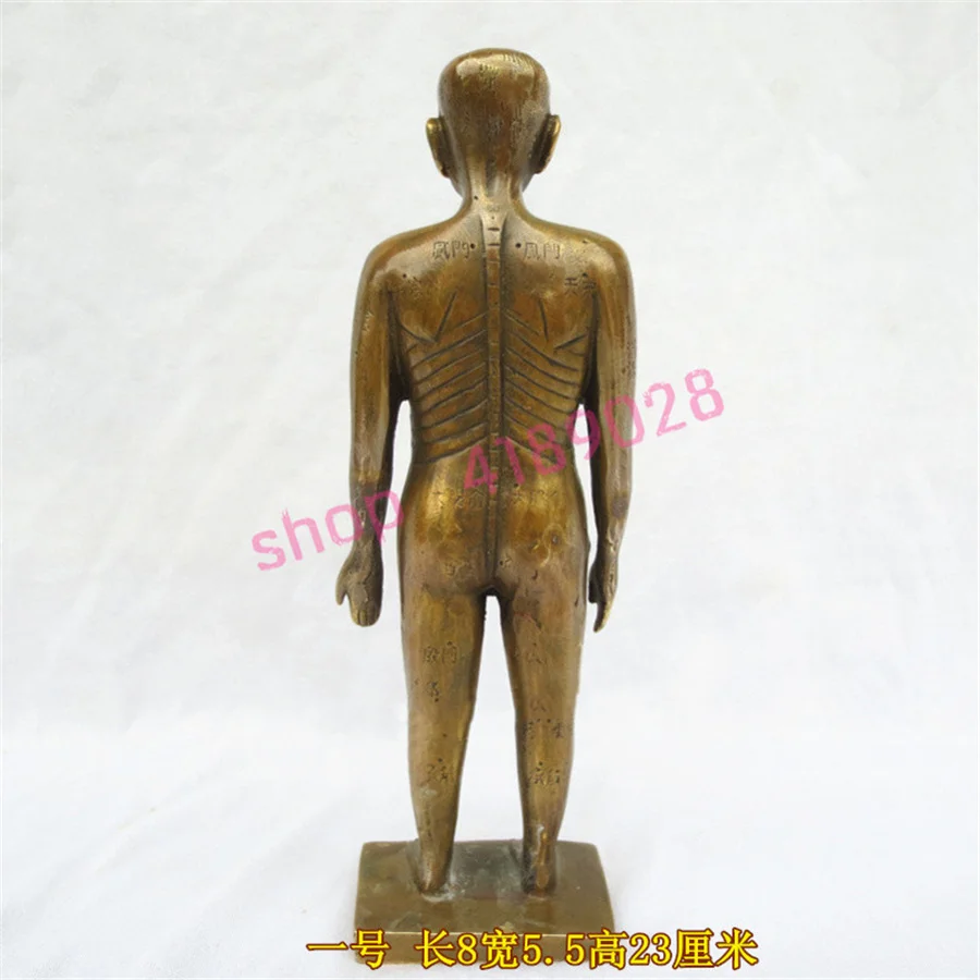 Pure copper, acupuncture points, human body model, human body meridian diagram ornament