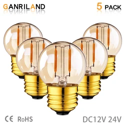 GANRILAND E27 DC12V 24V LED Light Bulb G40 1W E12 E14 Base Amber Glass 2200K Low Voltage Lamp Bulb For RV Locomotive Ship Cabin