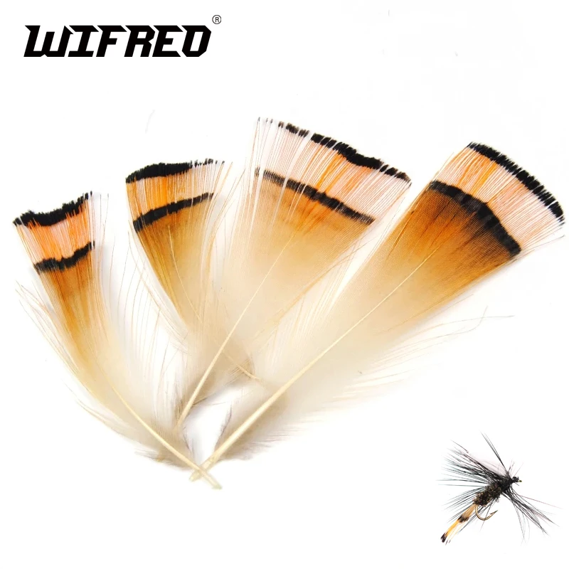 Wifreo Pluma Faisán Dorado Natural para Atar Moscas - imagen 4